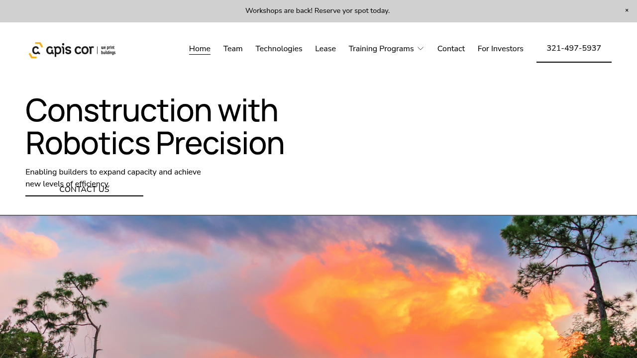 Apis Cor screenshot